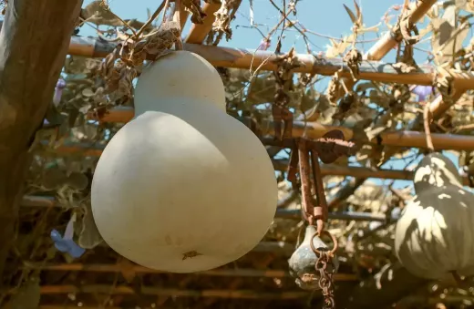 5 Outfits to Accentuate Your Curves if You're Pear-Shaped